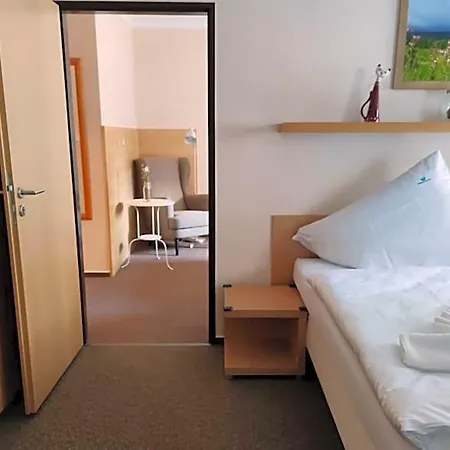 Hotel Modrasek *