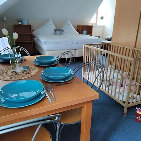 Hotel Modrasek *
